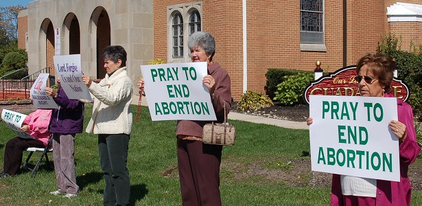 Prolife 2 rotator