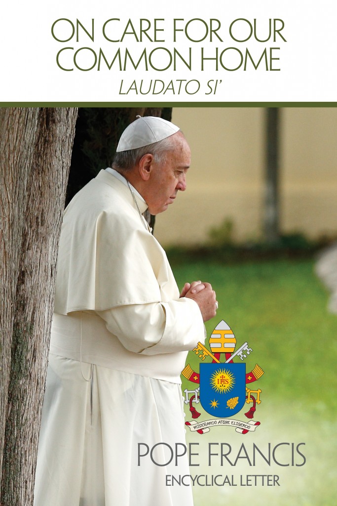 This is the cover of the English edition of Pope Francis' encyclical on the environment, "Laudato Si', on Care for Our Common Home." The long-anticipated encyclical was released at the Vatican June 18. (CNS photo/courtesy U.S. Conference of Catholic Bishops) See stories slugged ENCYCLICAL- June 18, 2015.