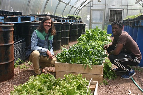 EnvironmentInCamden-WEB